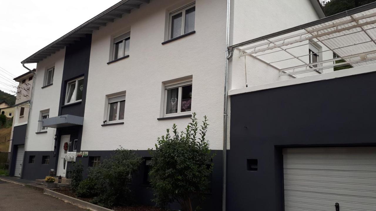 Ferienwohnung Jasmin In Schoenau Bei Heidelberg Fewo 2 쇠나우 외부 사진