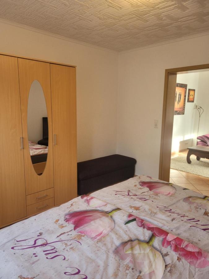 Ferienwohnung Jasmin In Schoenau Bei Heidelberg Fewo 2 쇠나우 외부 사진